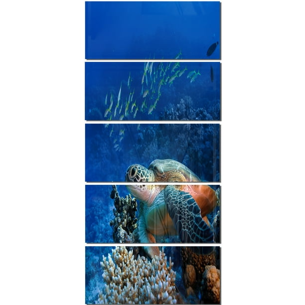 Designart Large Sea Turtle Underwater Multipanel Abstract Metal Wall Art Sets Com - Large Metal Sea Turtle Wall Art Designart Large Sea Turtle Underwater Multipanel Abstract Metal Wall Art Sets Com - Large Metal Sea Turtle Wall Art