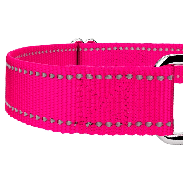 Country Brook Petz Reflective Martingale Dog Collar, Hot Pink photo 6