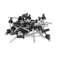 thumbnail image 1 of Kit surtido de remaches ciegos de 600 piezas, 8 tamaños (1/8 pulg. x 1/4 pulg., 5/16 pulg., 3/8 pulg., 1/2 pulg., 3/16 pulg. x 5/16 pulg., 3 negros, negros), 1 of 5