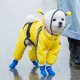 thumbnail image 2 of 1 PC PET BEE BEE Formado Lluvia Slicker Capucha Impermeable Con estilo Mascota Impermeable Para Perro, 2 of 6