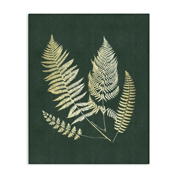 Stupell Industries Gilded Fern Sprigs Plants & Flowers Painting Wrapped Canvas Art Print Wall Art, 16 x 20