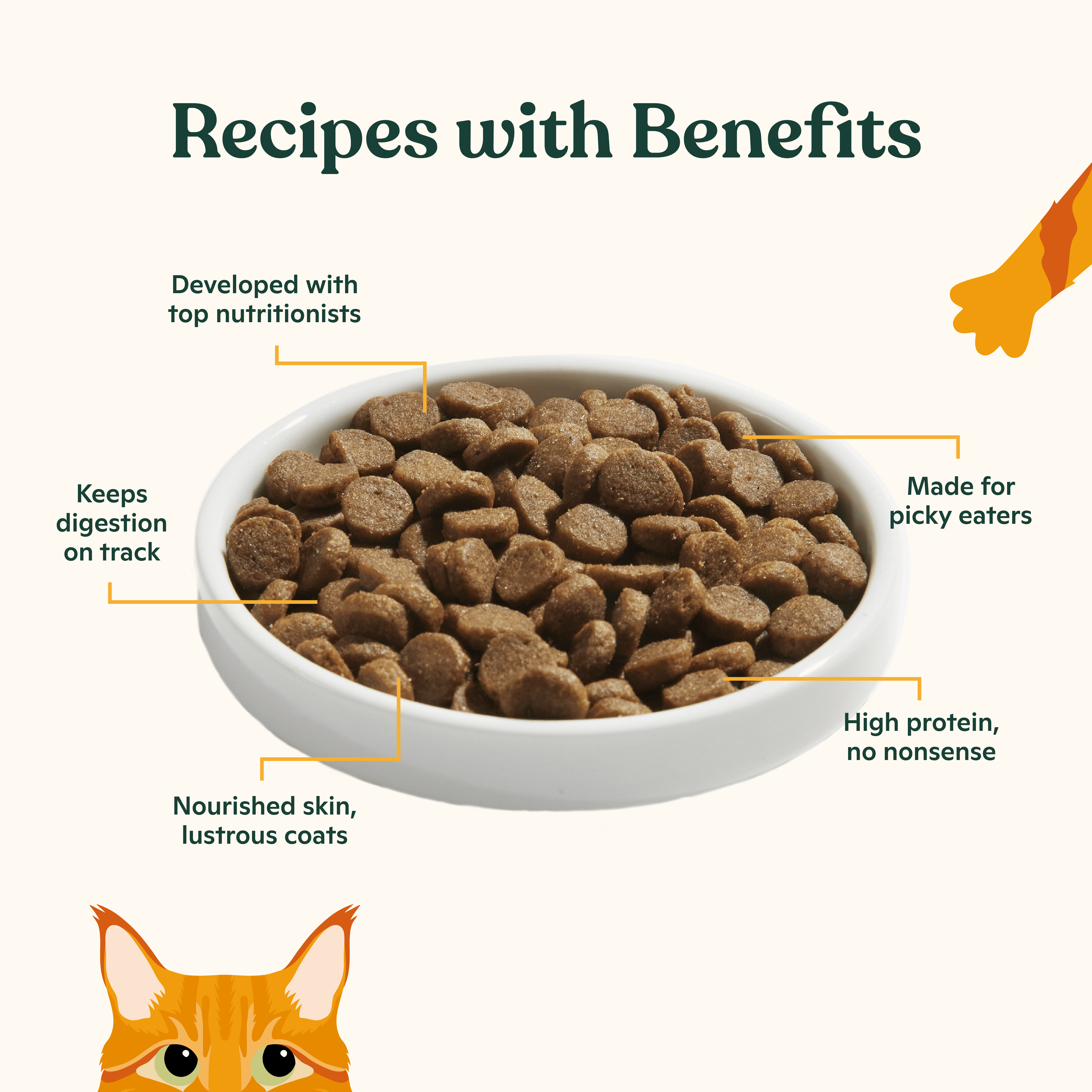 Made by Nacho Dry Cat Kibble, Infused with Bone Broth for Hydration, Sustainably Caught Salmon and Pumpkin, High Protein and Grain-Friendly Premium Cat Food, Limited Ingredients, 7.5lb Bag