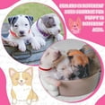 thumbnail image 5 of AOWOO 36 Pcs Dog Collar and Leash Set, Puppy Collar and Leash Set Quick Release Buckle Adjustable Paw Print Puppy Collar Soft Nylon Pet Collar for Puppy Small Dogs Walking Training, 5 of 8