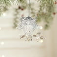 thumbnail image 5 of Luoshdecor Christmas Ornament,Plastic Glitter Clear Owl Holiday Tree Hanging Decorations for Indoor Outdoor Party Home Decor, 5 of 6