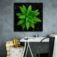 thumbnail image 5 of Epic Graffiti 'The Green Bloom Crop' by Epic Portfolio Giclee Canvas Wall Art, 26"x26", 5 of 8