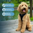 thumbnail image 3 of Best Pet Supplies Voyager Adjustable Dog Harness with Reflective Stripes for Walking, Jogging, Heavy-Duty Full Body No Pull Vest with Leash D-Ring, Breathable All-Weather - Harness (Black), XS, 3 of 7