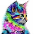 thumbnail image 1 of 12 * 12 inches/30 * 30cm DIY 5D Diamond Painting Kit Colorful Cat Pattern Resin Rhinestone Mosaic Embroidery Cross Stitch Craft Home Wall Decor, 1 of 8