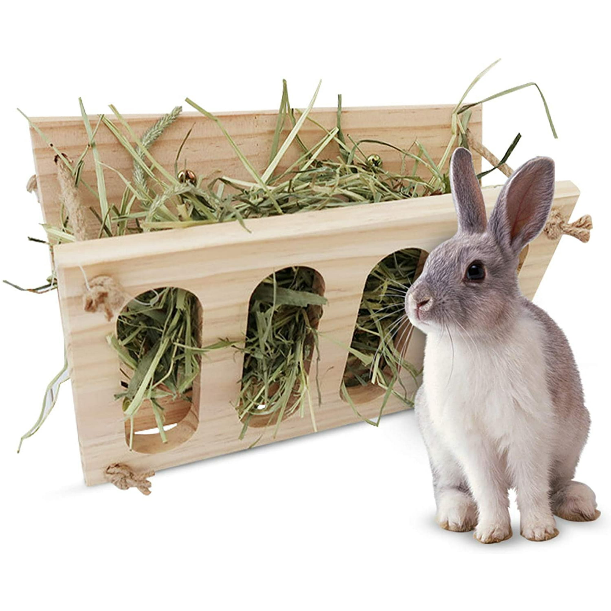 Guinea pig feeder for vacation 2025