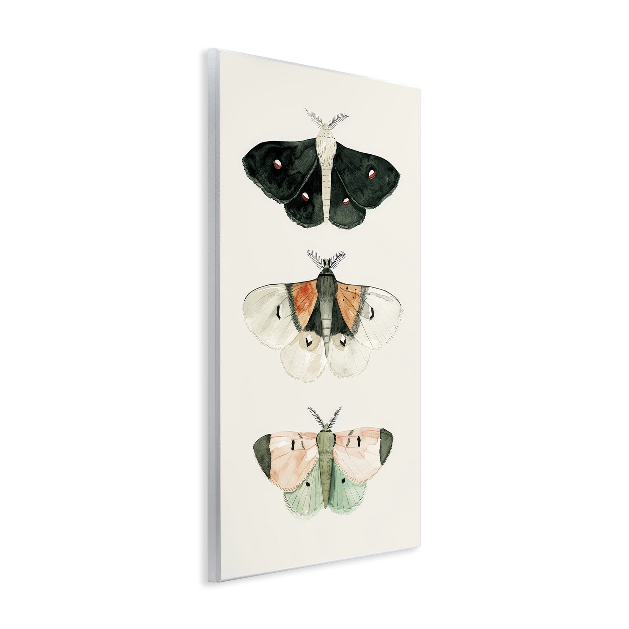 Stupell Industries Assorted Moth Trio Animals Painting Unframed Art Print Wall Art, 10 x 15