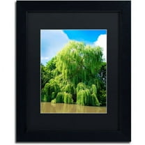 Trademark Fine Art "Weeping Willow" Canvas Art by Philippe Sainte-Laudy, Black Matte, Black Frame