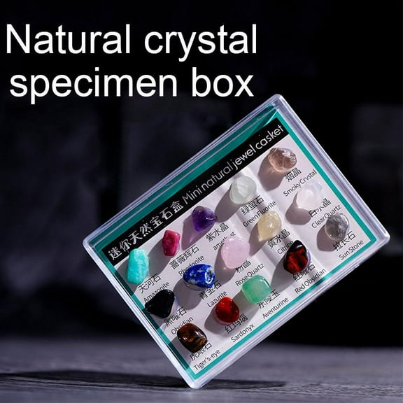 BETTERLIFE 15Pcs Rocks Gemstones Collection Box Quartz Crystasl Natural Mineral Hot O6 B7V4