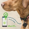 thumbnail image 2 of Tzumi Pets Pawnav, Smart Bluetooth GPS Pet Tracker, 2 of 7