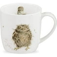 thumbnail image 3 of Royal Worcester 14 Oz What A Hoot Christmas Mug with Owl Design - Fine Bone China Winter Holiday Coffee Mug, Microwave & Dishwasher Safe, Wrendale Designs Festive Holiday Tableware, 3 of 7