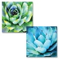 thumbnail image 2 of Gango Home Decor Modern Opulent Succulents I & II; Two 16x16in Fine Art Paper Giclee Prints, 2 of 6