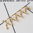 thumbnail image 4 of 20 pinzas para el cabello en espiral, pinzas para el cabello redondas, pinzas para el cabello, espiral para peinado, pinzas para el cabello DIY, pinzas para el cabello Zhivalor 2035982-1, 4 of 4