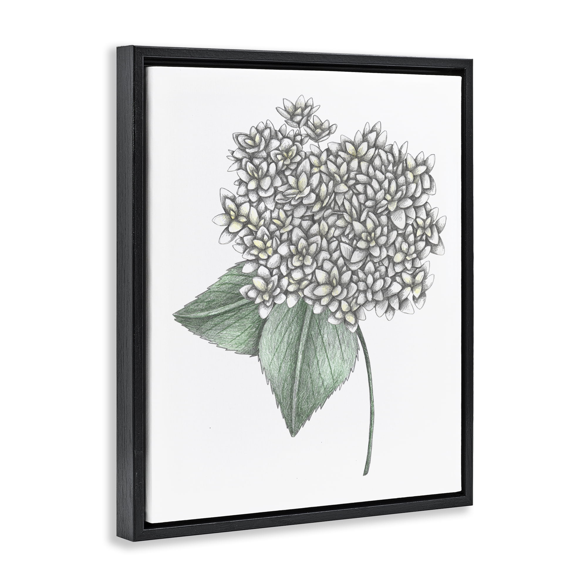 White Hydrangea Sketch Blossom Black Framed Floater Canvas Wall Art, design by Cecilia Battaini