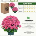 thumbnail image 2 of Planta artificial en maceta QIANYUN de 20 cm con geranios falsos, 2 of 7