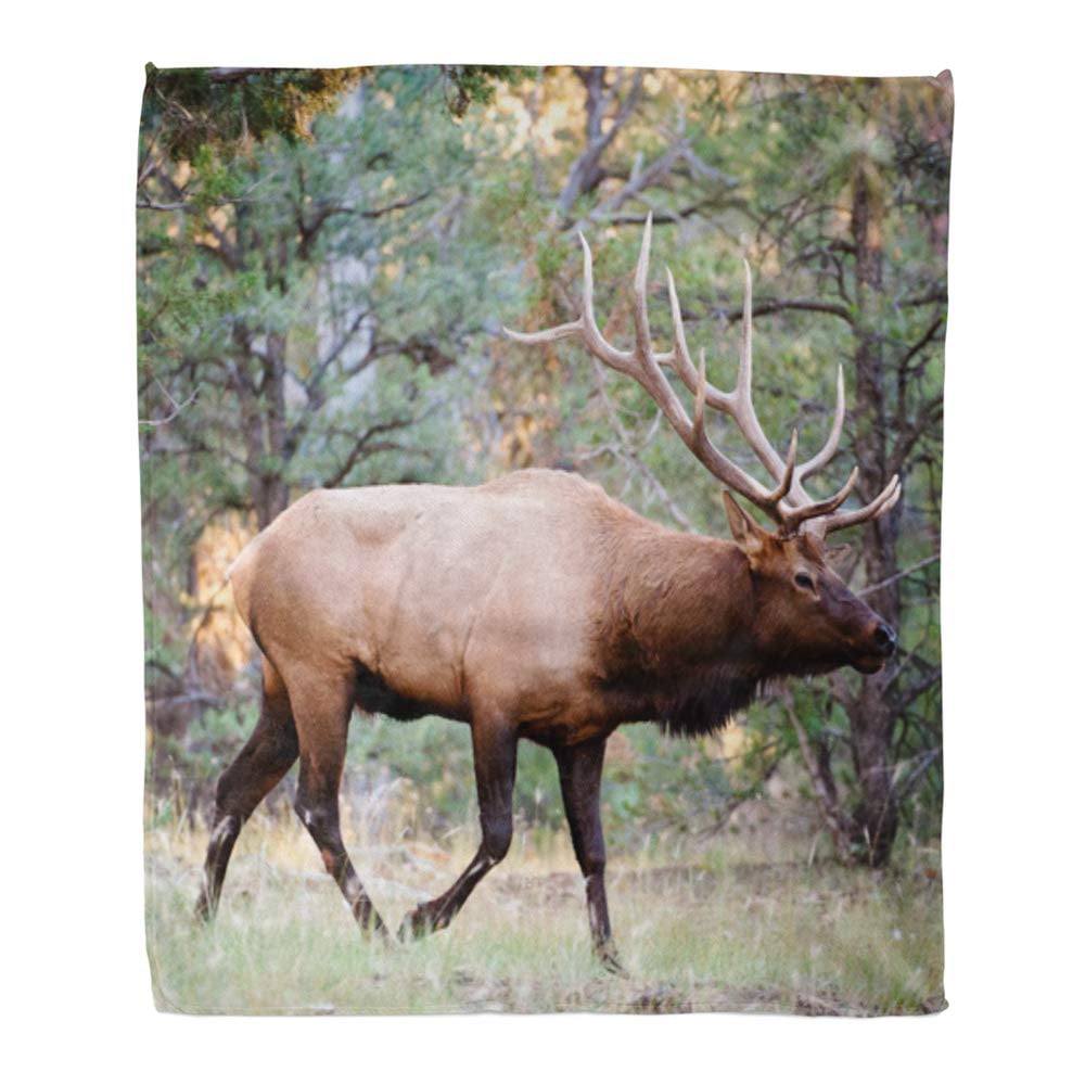 Bull Elk Sherpa Blanket Throw Very Thick Very Soft NEW 50 x 60 inches 