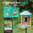 thumbnail image 3 of Netvue Birdfy Bird Feeder with Camera, Smart Bird Camera with Solar Panel, AI Identify 6000+ Species, Automatic reminder recording, Ideal Gift, 3 of 9