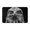 hawk black white, variant on hawk look Rugs Washable Cover Floor Rug Carpets Home Decorations for Bathroom Kitchen Bedroom Indoor 31.5x20 inch
