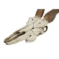 thumbnail image 5 of Veronese Design WU75827VA Kudu Skull Wall Sculpture, 5 of 5