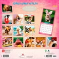 thumbnail image 2 of Avanti Dogs Gone Wild OFFICIAL | 2026 12x24" (Hanging) Wall Calendar | Plastic-Free, 2 of 9