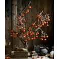 thumbnail image 4 of Artificial Persimmon Fruit String Decor 33.8" Long, 4 of 9