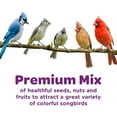 thumbnail image 4 of Kaytee Nut & Fruit Blend, Wild Bird Food Bag 5 pounds, 4 of 13