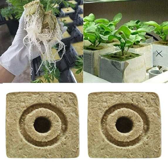 Cheers.US 2Pcs Grow Cubes, Starter Plugs with Planting Holes, Ideal Hydroponics Grow Media, Perfect for Soilless Culture and Transplanting