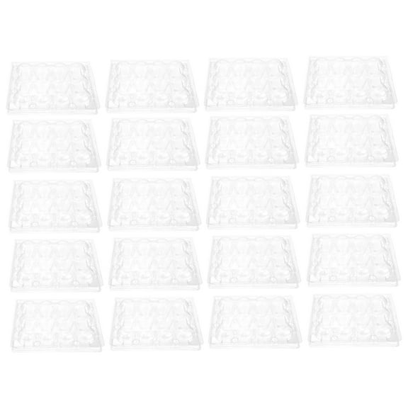 Transparent Quail Egg Carton with 12 Cavities for Storage Strong Plastic Durable Reusable Easy to