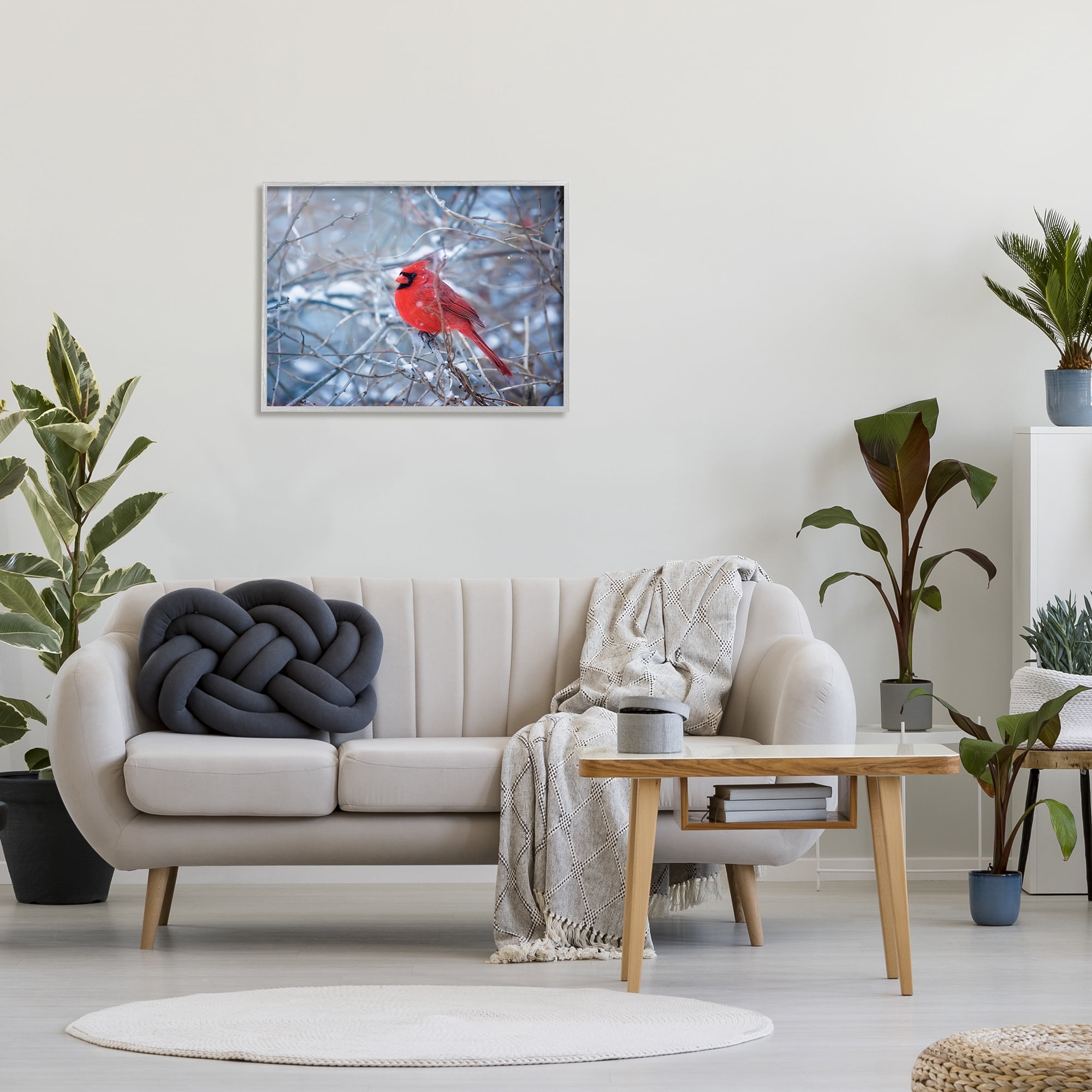 Stupell Industries Cardinal in Winter Branches Animals & Insects Photography Gray Framed Art Print Wall Art, 30 x 24