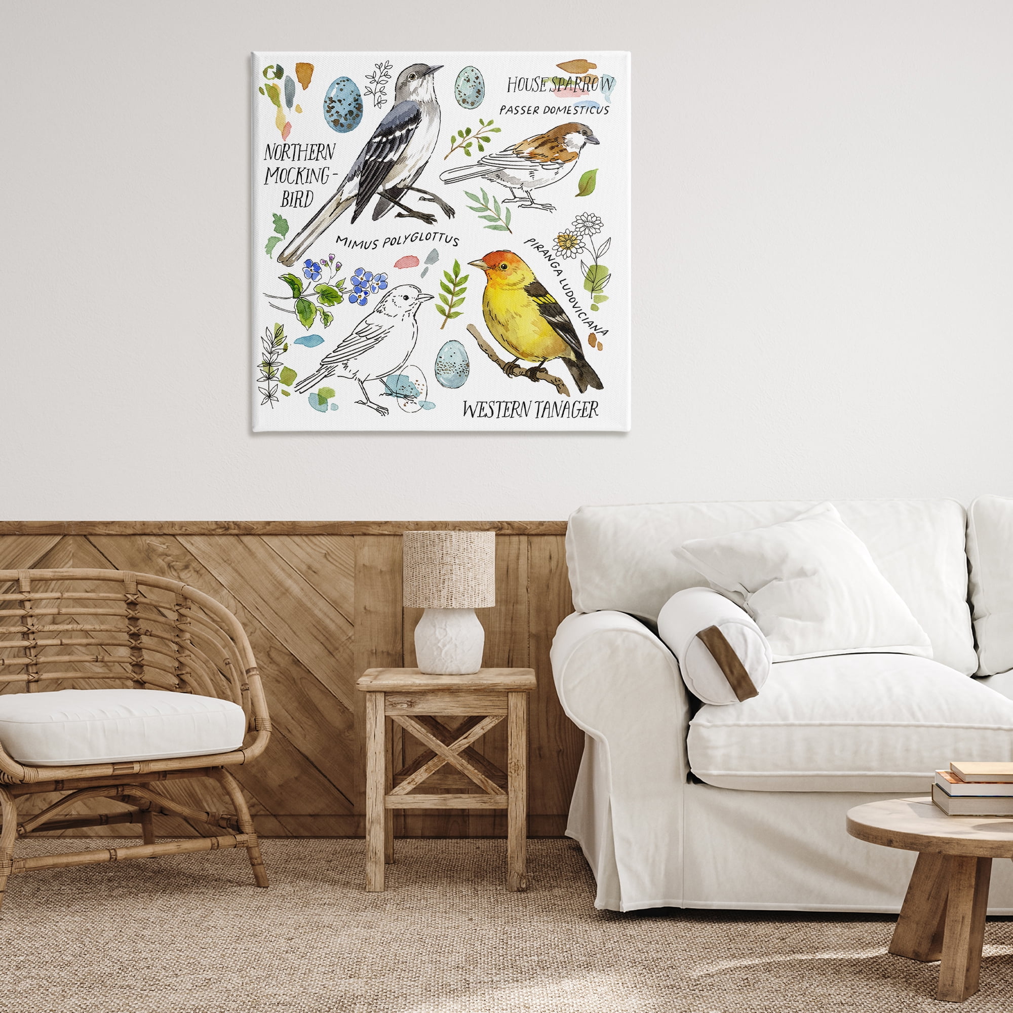 Stupell Industries Local Bird Diagram Animals Painting Wrapped Canvas Art Print Wall Art, 36 x 36
