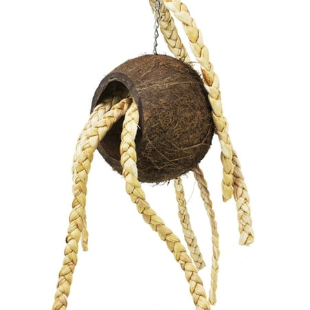 1611 Coco Pull Bird Toy