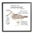 thumbnail image 2 of Stupell Industries Sandpiper Beach Bird Wildlife Learning Facts Chart Graphic Art Black Framed Art Print Wall Art, Design by Dishique, 2 of 5