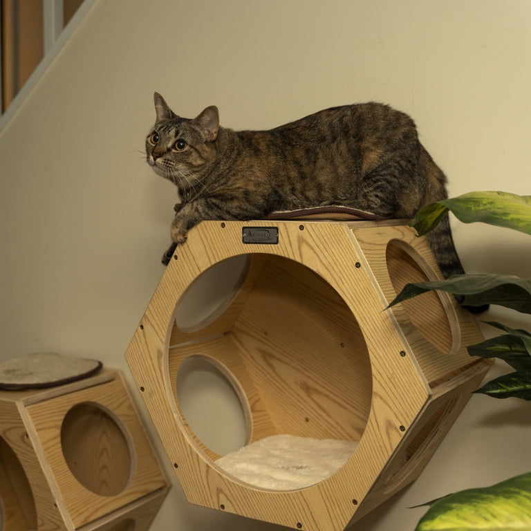 Armarkat Natural Wood Cat Wall Shelves, Set of Two photo 4