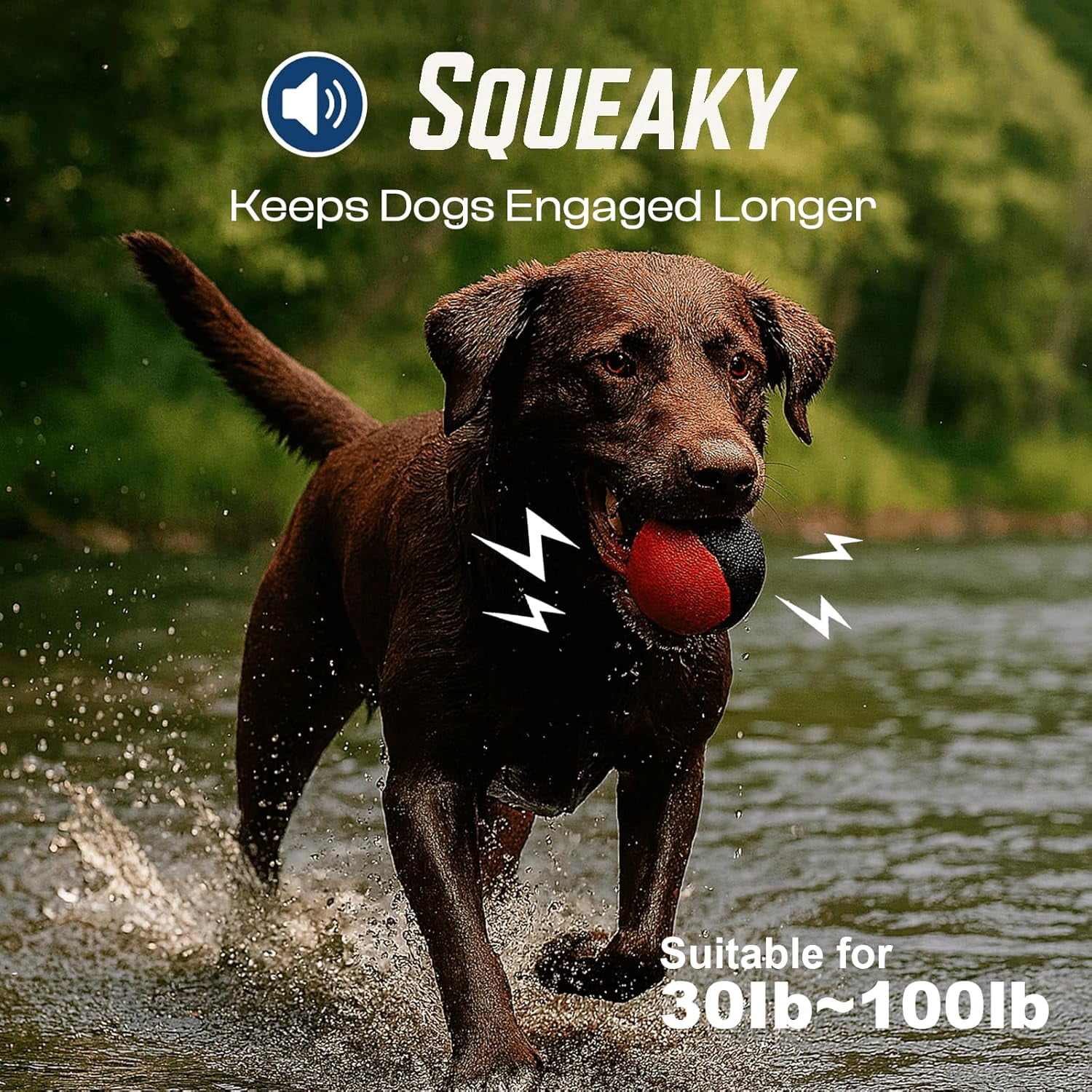 Squeaky Dog Toy – Durable Rubber Dog Ball for Medium & Large Dogs, Tough Interactive Fetch Toy for Chewers, Outdoor Training & Play Ball, Floating Water Play Gift.Red Black