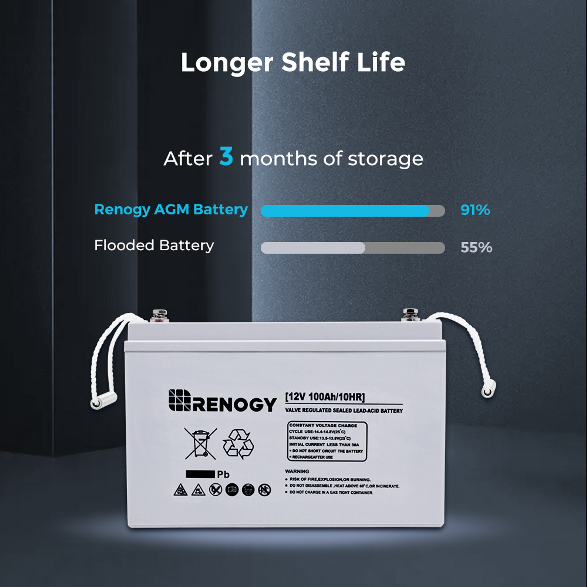 Renogy Deep Cycle AGM 12 Volt Automotive Battery, Group Size N/A, 850 CCA