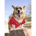 thumbnail image 5 of Pets First NFL Atlanta FalconsLicensed Mesh Jersey for Dogs and Cats - Large, 5 of 6