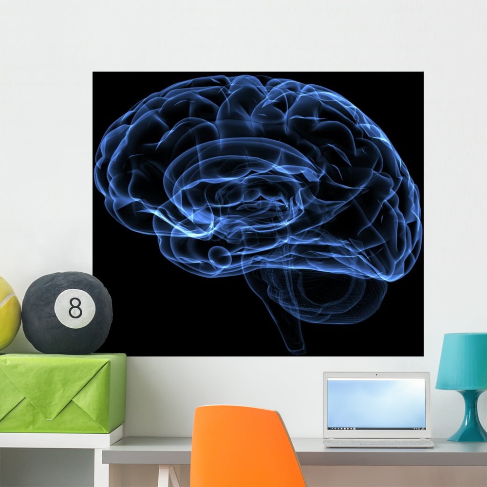 Brain Pattern Wall Brain Wall Mural by Wallmonkeys Peel and Stick Graphic (36 in W x 31 in ...