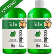 2 Pack - Bulk Size Tea Tree Essential Oil (32 Ounce Bottle) - Therapeutic Grade Essential Oil - 2 Pack of 16oz Bottles