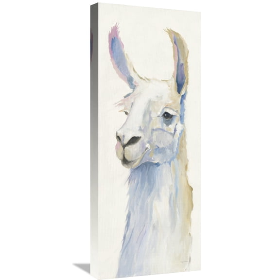 Global Gallery Avery Tillmon 'Bianca Crop' Canvas Wall Art