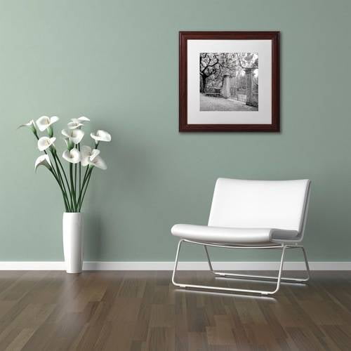 Trademark Fine Art "Firenze I" Canvas Art by Alan Blaustein, White Matte, Wood Frame