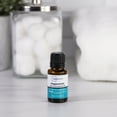 thumbnail image 2 of Mainstays Pure Peppermint Essential Oil, 15ml, 1 Pack, 2 of 7