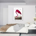 thumbnail image 2 of ARTCANVAS American Flamingo Canvas Art Print by John James Audubon - Size: 40" x 26" (0.75" Deep), 2 of 9