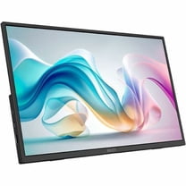 MSI Pro MP165 E6 16" Class Full HD LCD Monitor, 16:9, Matte Black