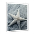 thumbnail image 2 of Designart "Coastal Gem Minimalist Starfish in Grey" Animals Framed Wall Art - Modern Grey Starfish Hallway Framed Wall Art Decor, 2 of 6