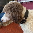 thumbnail image 6 of Miaocao Heavy Duty Adjustable Dog Collar, 2 Inch Wide Military Thick Dog Collars for Large Dogs, Breathable Nylon Pet Collar with Metal Buckle & D Ring, 6 of 6
