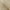 Beige, variant on Mellanni Bedspread Coverlet Set Medallion Zen - Reversible Bedding Cover - Oversized Quilt Set, 2 Piece, Twin / Twin XL, Medallion Zen