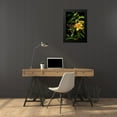 thumbnail image 4 of Johnson, George 17x24 Black Modern Framed Museum Art Print Titled - Pink and Yellow Lily, 4 of 5