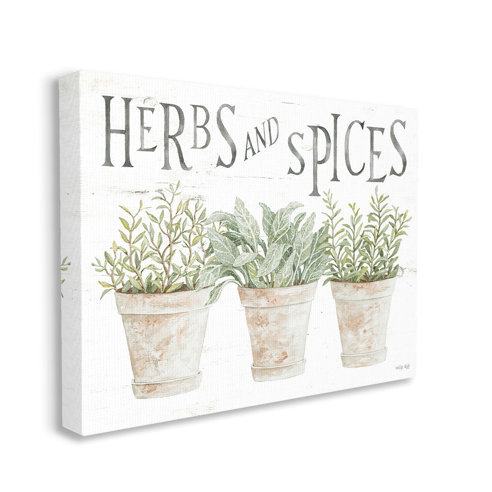 Stupell Industries Country Herbs & Spices Botanical & Floral Painting Gallery Wrapped Canvas Art Print Wall Art, 30 x 24